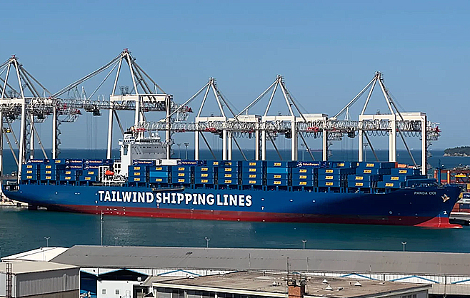 PANDA 001 (FORMER TALASSA)