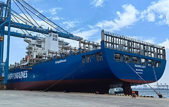 PANDA 007 (FORMER CMA CGM BELLINI)