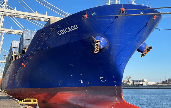 PANDA 008 (FORMER CHICAGO)