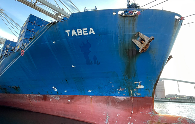 PANDA 009 (FORMER TABEA)